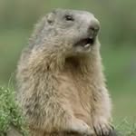 Alan Knott - @knottevenal - Instagram
