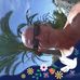 Alan Knowles - Facebook