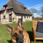 Allan Knudsen - @allanknudsen1 - Instagram