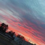 Alana knutson🥎 - @alana_knutson_7 - Instagram