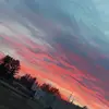 Alanaknutson - @littlwlptag - TikTok
