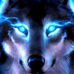 Alan Kocher - @alan.kocher.1088 - Instagram