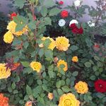 alan.kocher.639 - @alan.kocher.639 - Instagram