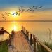 Alain Koenig - Facebook