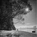 Alan Kohl - Facebook