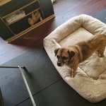 Alan Kolin - @alan.kolin.397 - Instagram