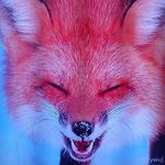 Alan Kołtuniak - @alankoltuniak - Instagram