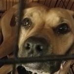 Mason Kometz - @mason_alan_kometz - Instagram