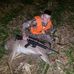 Allan Kopp - Facebook
