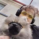 Alan Kowalewski - @alan_ilo_ - Instagram