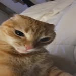 Alan Kurpiewski - @bobsztonyl_ - Instagram
