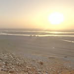 @alankussain1999 - Instagram
