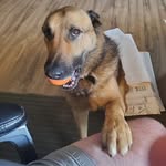 Alan Kyle - @alankyle1969 - Instagram