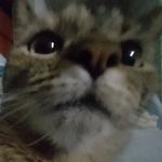 alan - @alan_lachttv - Instagram