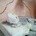 Alan Lach - Facebook