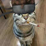 @alan_lach - Instagram