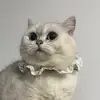 staradtralalanlach - @staradtralalanlach - TikTok