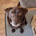 Alan Lamb - Facebook