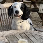 Alan Lambert - @alanlambert4622 - Instagram