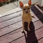Alan Land - Facebook