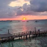 Alan Langer - @langeralan1 - Instagram