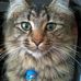 Alan Langer - Facebook