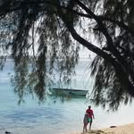Alan Larose - @alanlarose303 - Instagram