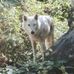 Alan Lautsch - Facebook