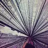 Alan Leatherman - @alanleatherman - TikTok