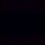Drasselb Alano - @alanoblessard - Instagram