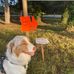 Alain Letourneau - Facebook