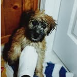 Alan Letourneau - @northgold_998 - Instagram