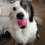 Sue Lever - @alan.lever.92 - Instagram