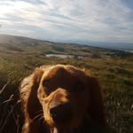 Alan Liddell - @alan.liddell.7 - Instagram
