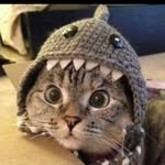 Alan Lincoln - @alan.lincoln.88 - Instagram