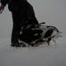 Alan Lorimer - Facebook
