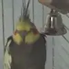 Alan Lovell51 - @alanlovell51 - TikTok