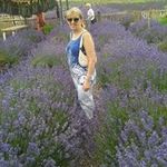 Alan Lovell - @lovell.alan - Instagram