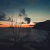 StarryTamo - @alanlovell0 - TikTok