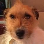 Alan Loveridge - @alan.loveridge.5 - Instagram