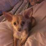 Alan Lowe - @lowe9862 - Instagram