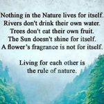 Alan Lowe - @alan.lowe1066 - Instagram