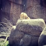 Alan P. Lyman - @nathaly3461garcia - Instagram