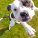 Alan Mackintosh - Facebook