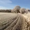alanmaclachlan4 - @alanmaclachlan4 - TikTok