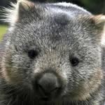 Alan MacLean - @acm26598713 - Instagram