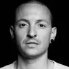 Allan Maclean - @allan.maclean - TikTok