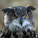 Alan MacNab - Facebook
