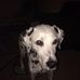 Allan Maitland - Facebook