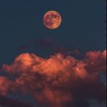 Alan Mallon - @alanmallon_34 - Instagram